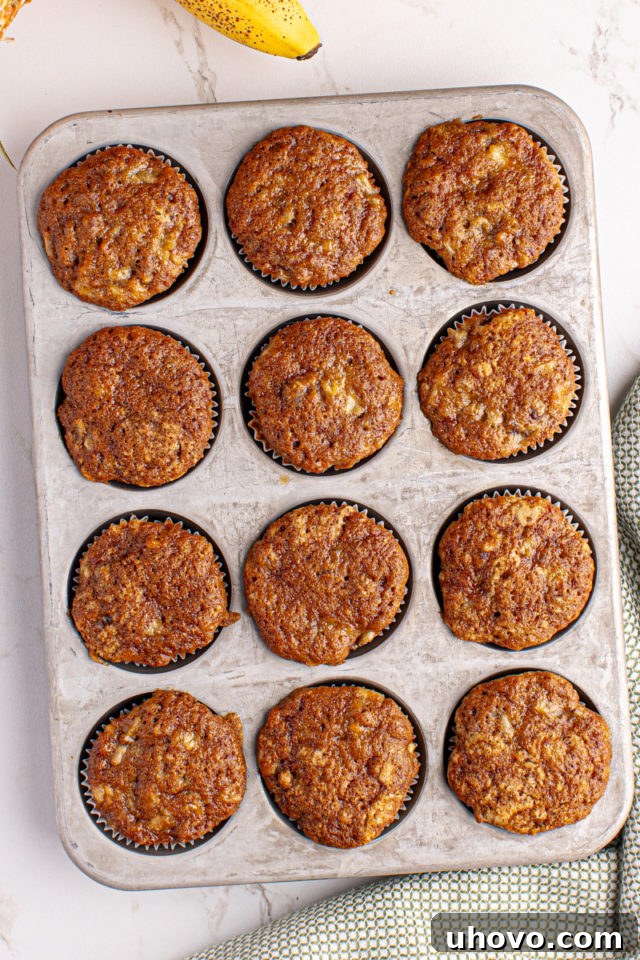Overhead view of freshly baked, unfrosted hummingbird cupcakes resting in the muffin pan, cooling down.