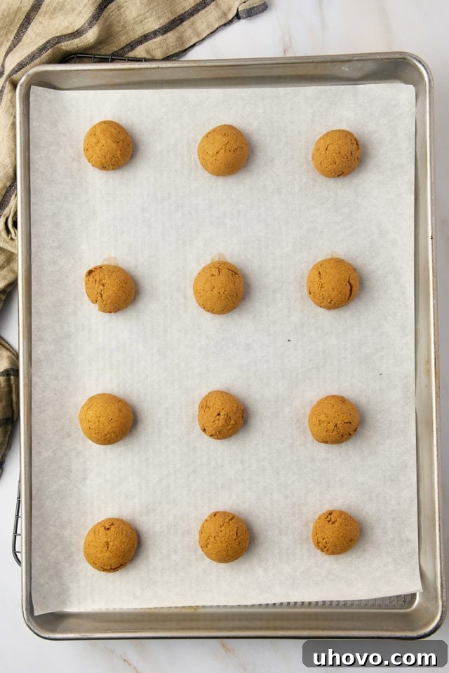 overhead view of freshly baked Pfeffernüsse cookies on a baking sheet