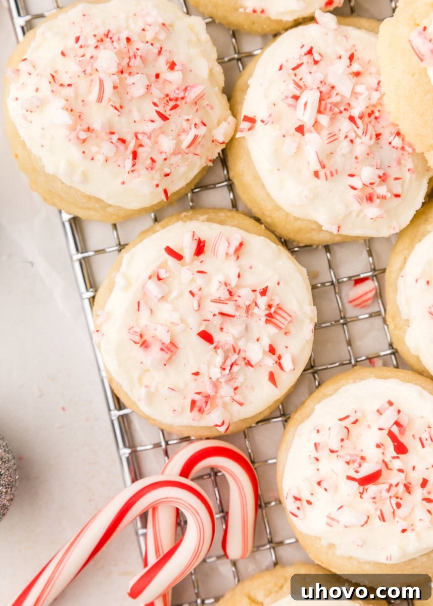 Overhead view of several peppermint meltaway cookies arranged on a wire rack, freshly frosted and garnished with crushed candy canes.
