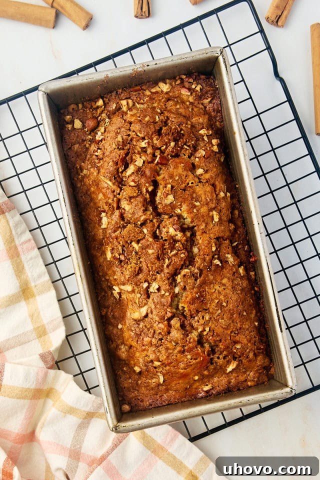 overhead view of freshly baked cinnamon swirl bread in a loaf pan on a wire rack