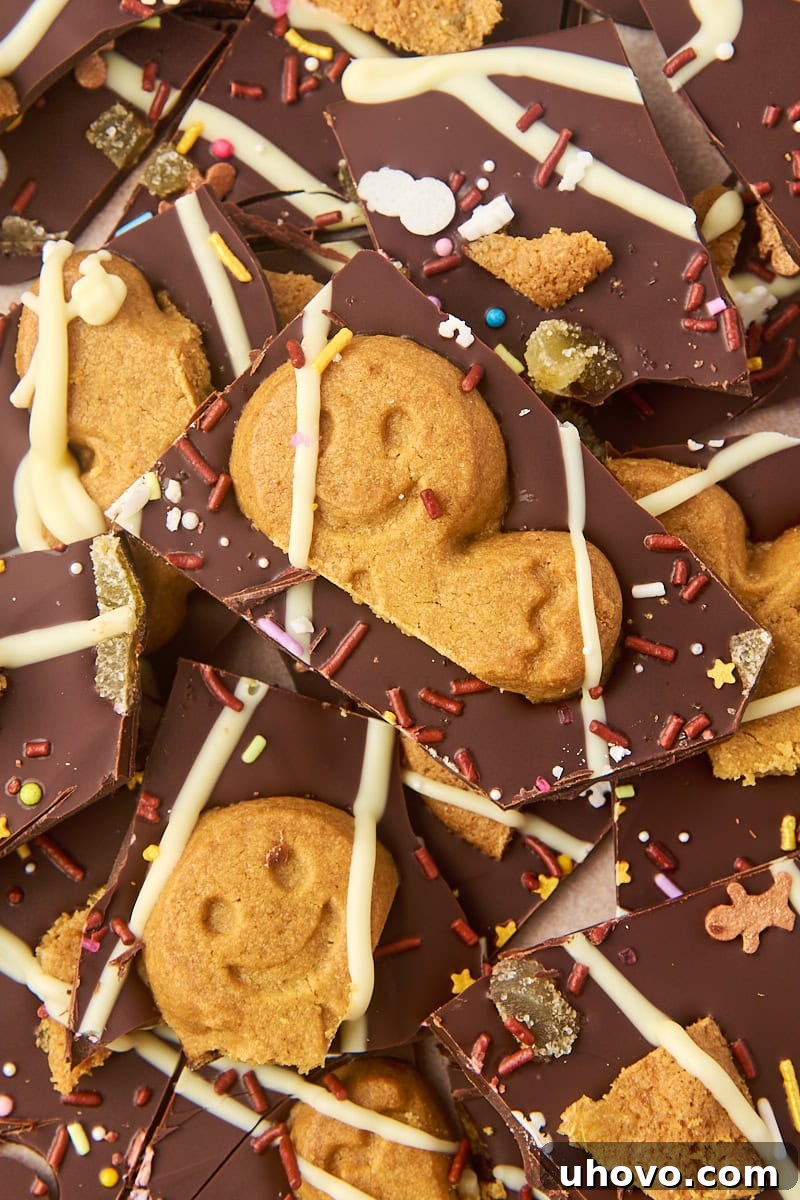 overhead view of several pieces of gingerbread bark