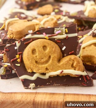 close-up view of a piece of gingerbread bark with more bark behind