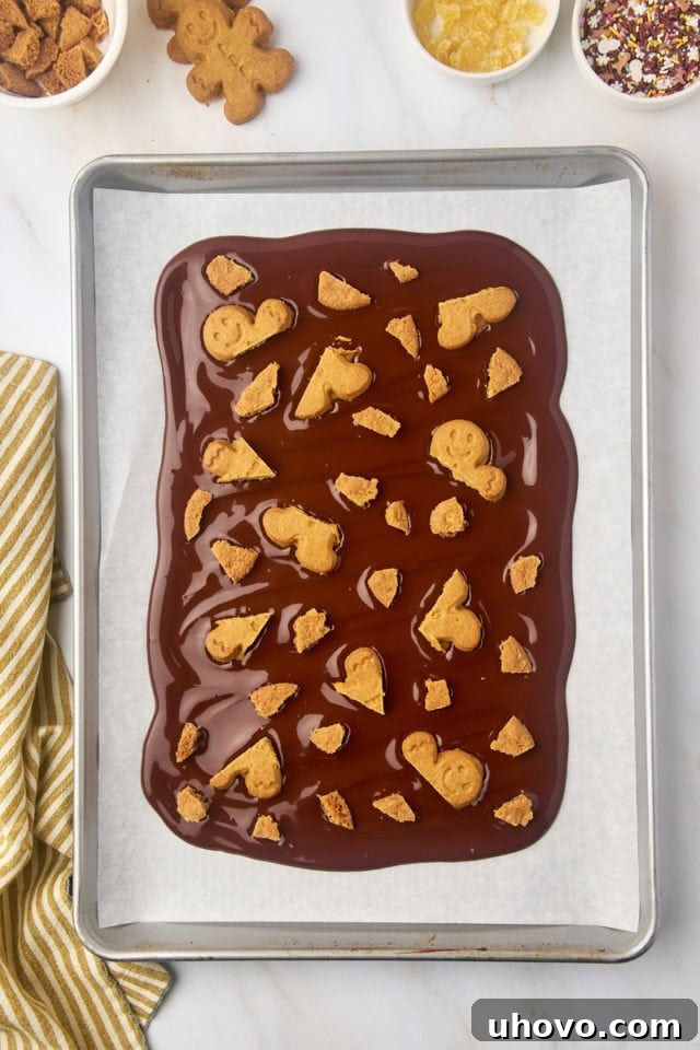 overhead view of gingerbread cookie pieces added to a thin layer of melted dark chocolate