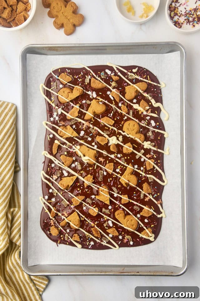 overhead view of gingerbread bark with toppings and a white chocolate drizzle