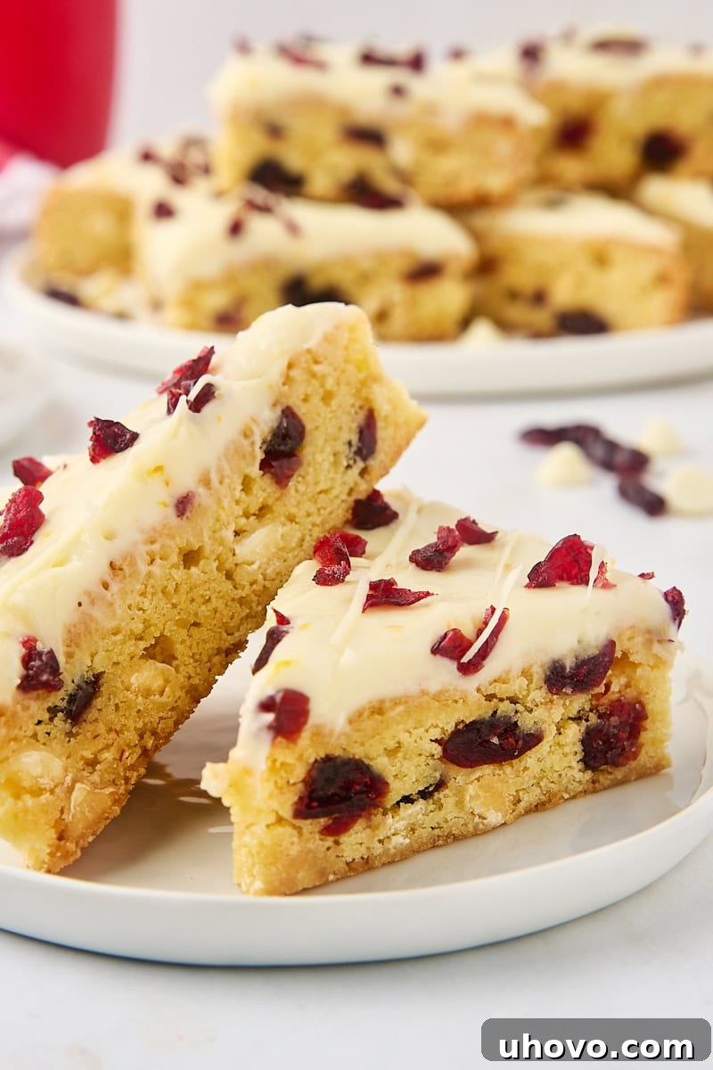 Two cranberry bliss bars on a white plate with more bars on a large plate in the background