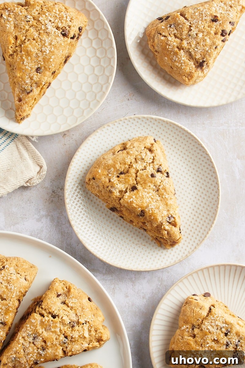 Overhead view of freshly baked chocolate chip-hazelnut scones arranged beautifully on plates, ready to be served.