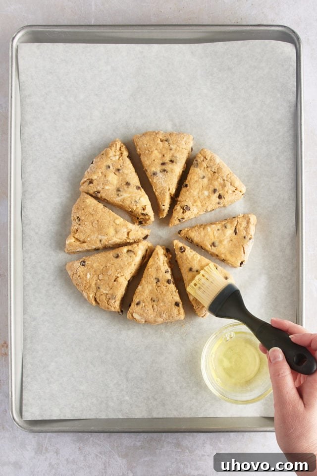 Overhead view of unbaked chocolate chip-hazelnut scones being brushed with egg white and sprinkled with sanding sugar.