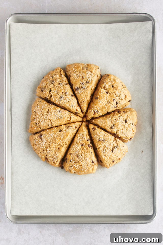 Overhead view of unbaked chocolate chip-hazelnut scones arranged in a circle on a parchment-lined baking sheet, ready for the oven.