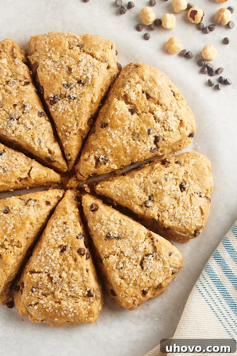 Overhead view of freshly baked chocolate chip-hazelnut scones arranged in a perfect circle on parchment paper.