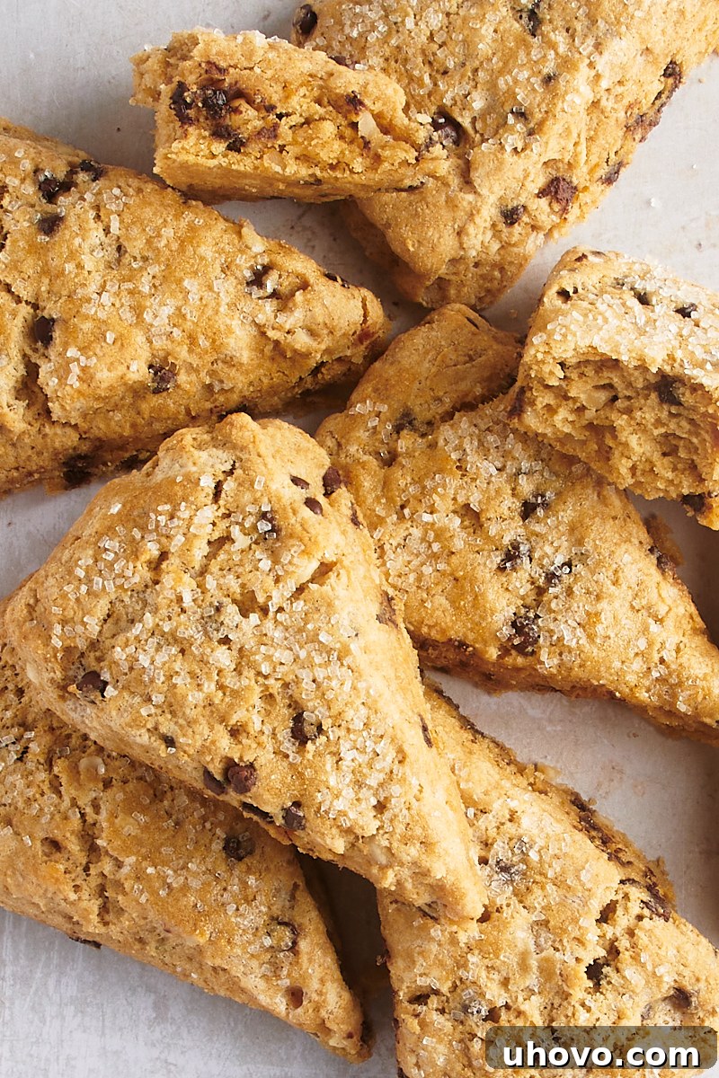 A stack of golden-brown chocolate chip-hazelnut scones piled artfully on parchment paper.