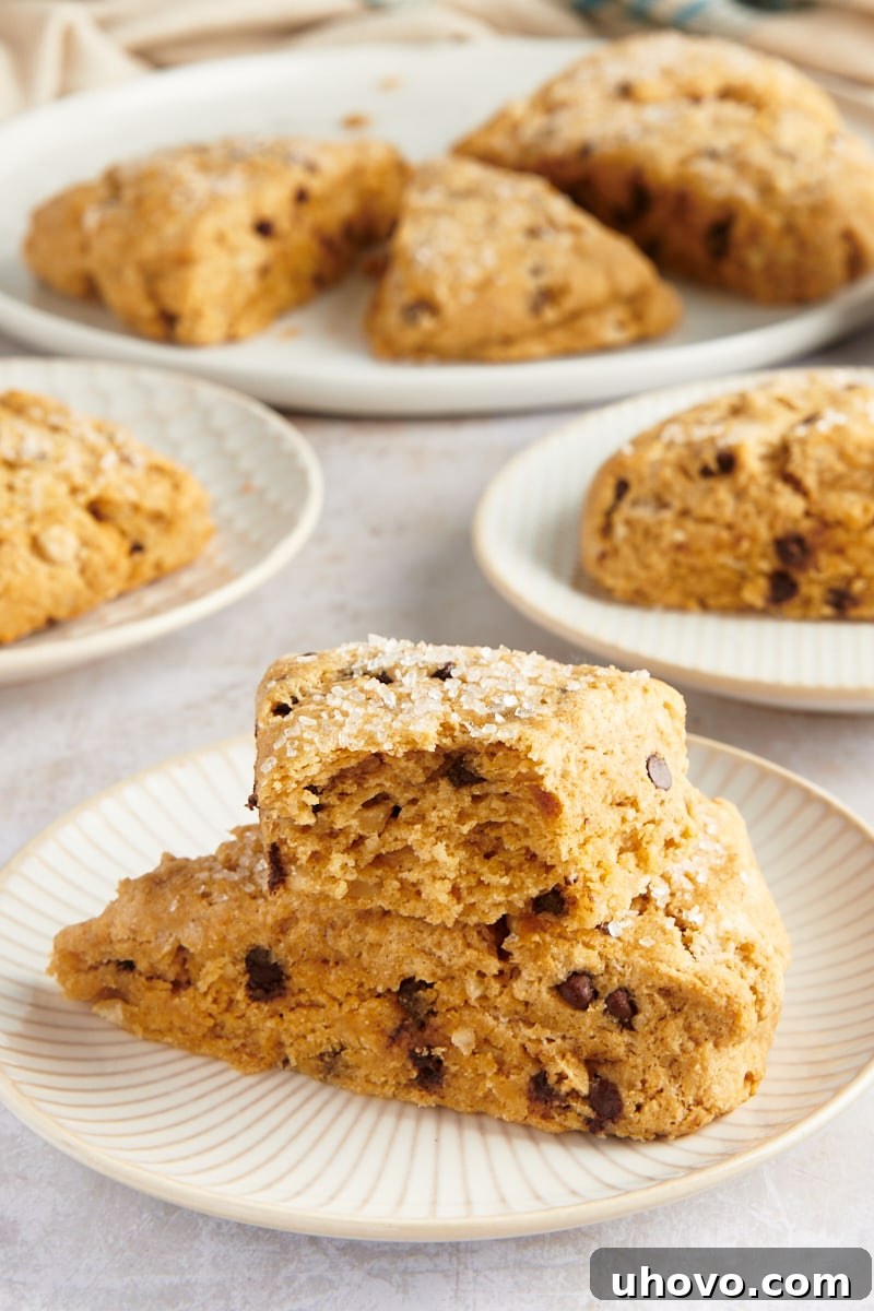 A beautifully stacked pair of chocolate chip-hazelnut scones on a plate, with more scones softly blurred in the background, creating an inviting scene.