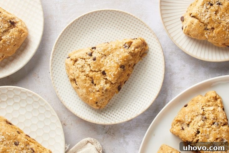 Overhead view of delicious chocolate chip-hazelnut scones on white patterned plates, inviting to be eaten.