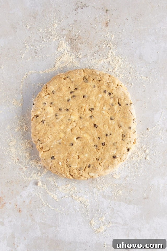 Overhead view of the shaped chocolate chip-hazelnut scone dough patted into a disk, before being cut into wedges.
