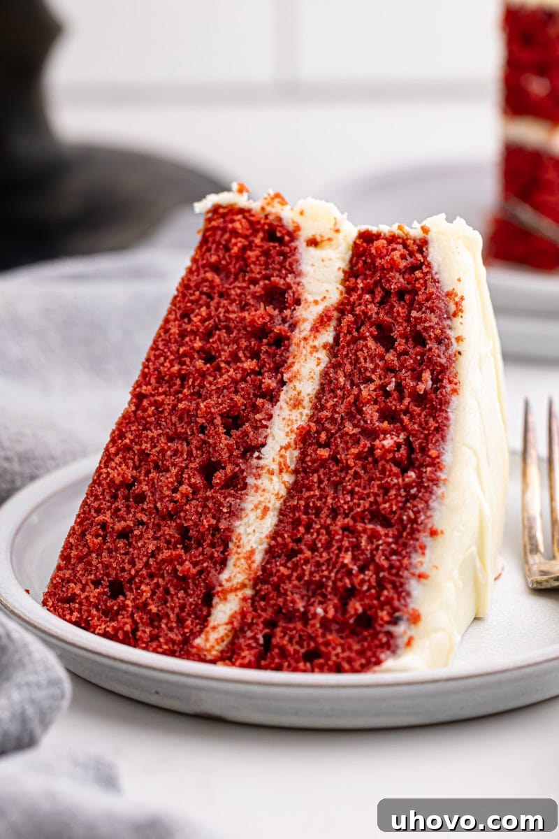 A vibrant slice of red velvet cake on a pristine white plate, showcasing its deep crimson layers and creamy white frosting.
