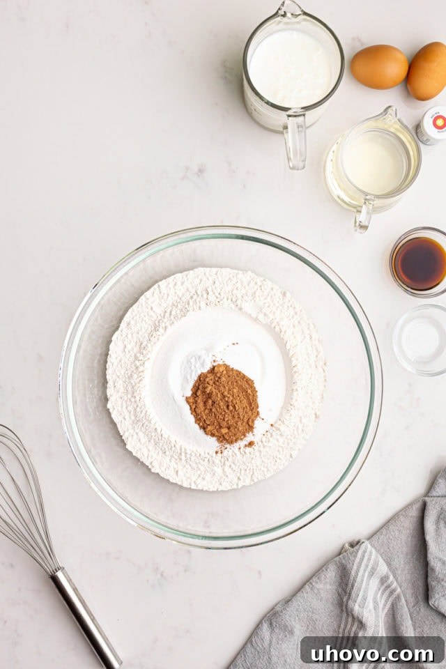 An overhead view of flour, granulated sugar, baking soda, salt, and cocoa powder neatly arranged in a mixing bowl, ready to be combined.