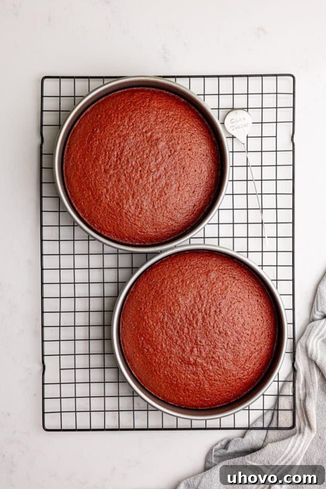 Two freshly baked red velvet cake layers cooling in their pans on a wire rack, showing their perfect golden-brown edges.