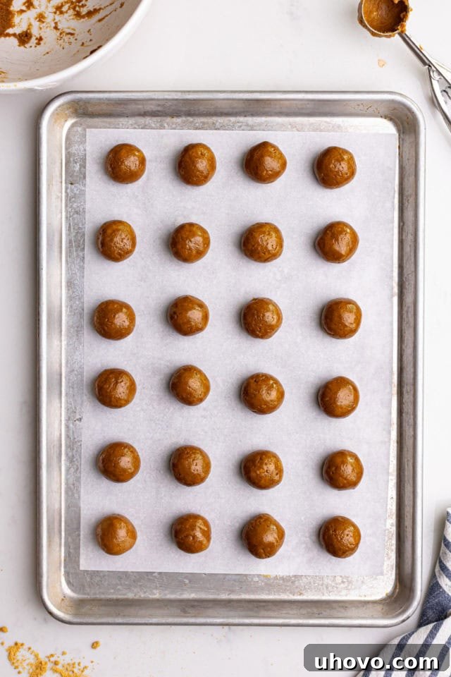 Overhead view of perfectly rolled gingerbread truffle balls arranged neatly on a parchment-lined baking sheet, prepared for their chocolate coating.