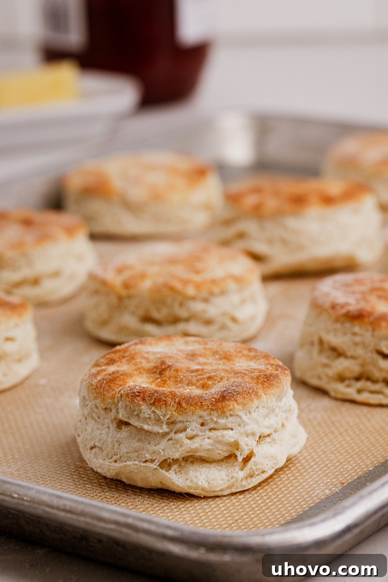 Baked buttermilk biscuits arranged closely on a silpat-lined baking sheet
