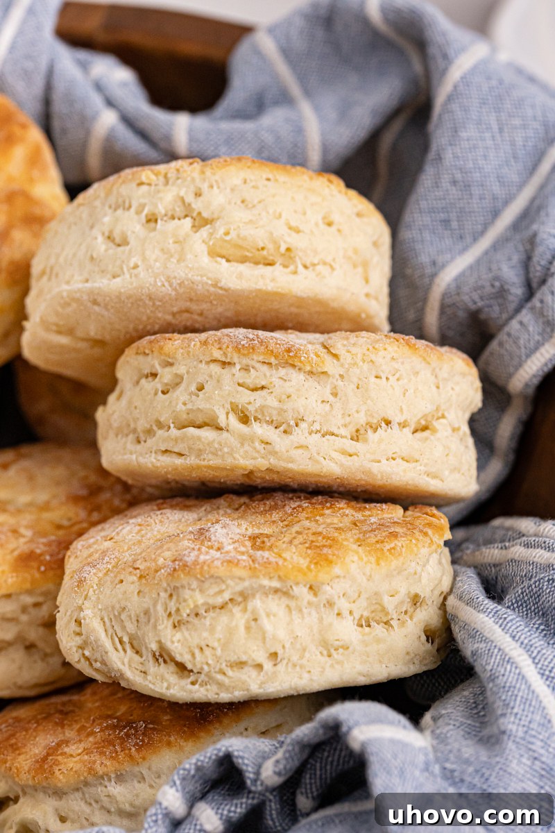 Buttermilk biscuits in a bowl, draped with a blue and white tea towel