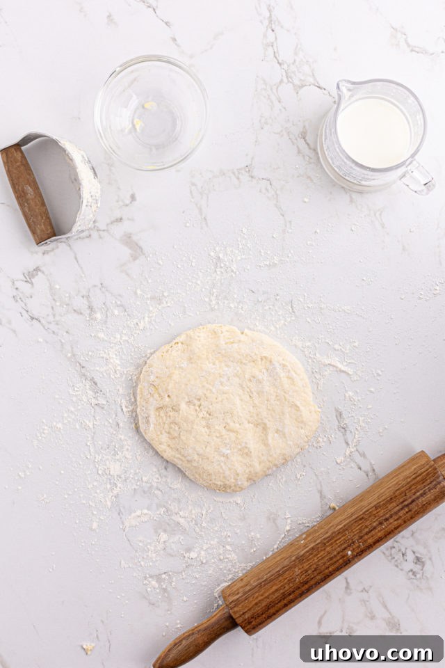 Biscuit dough on floured work surface