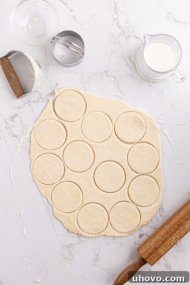 Overhead view of dough cut into biscuits