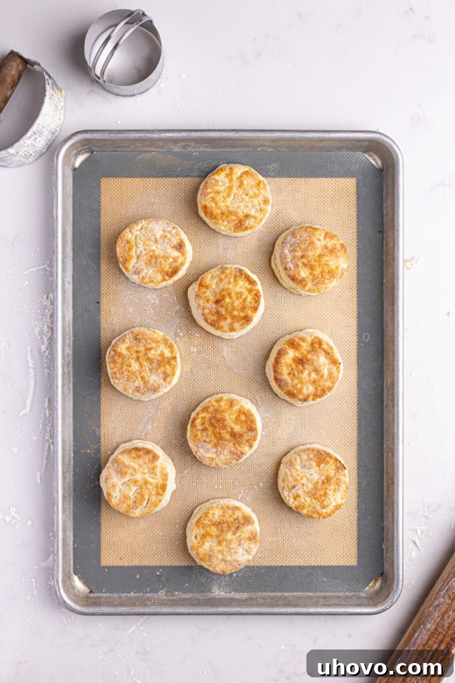 Overhead view of buttermilk biscuits on silpat-lined pan