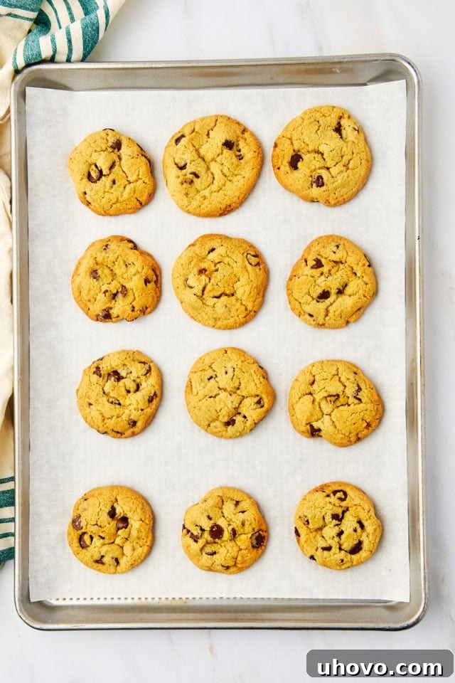 overhead view of freshly baked tahini chocolate chip cookies on a baking sheet