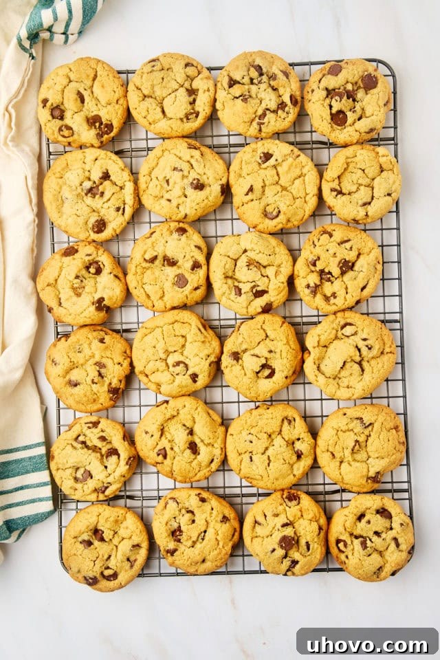overhead view of tahini chocolate chip cookies cooling on a wire rack