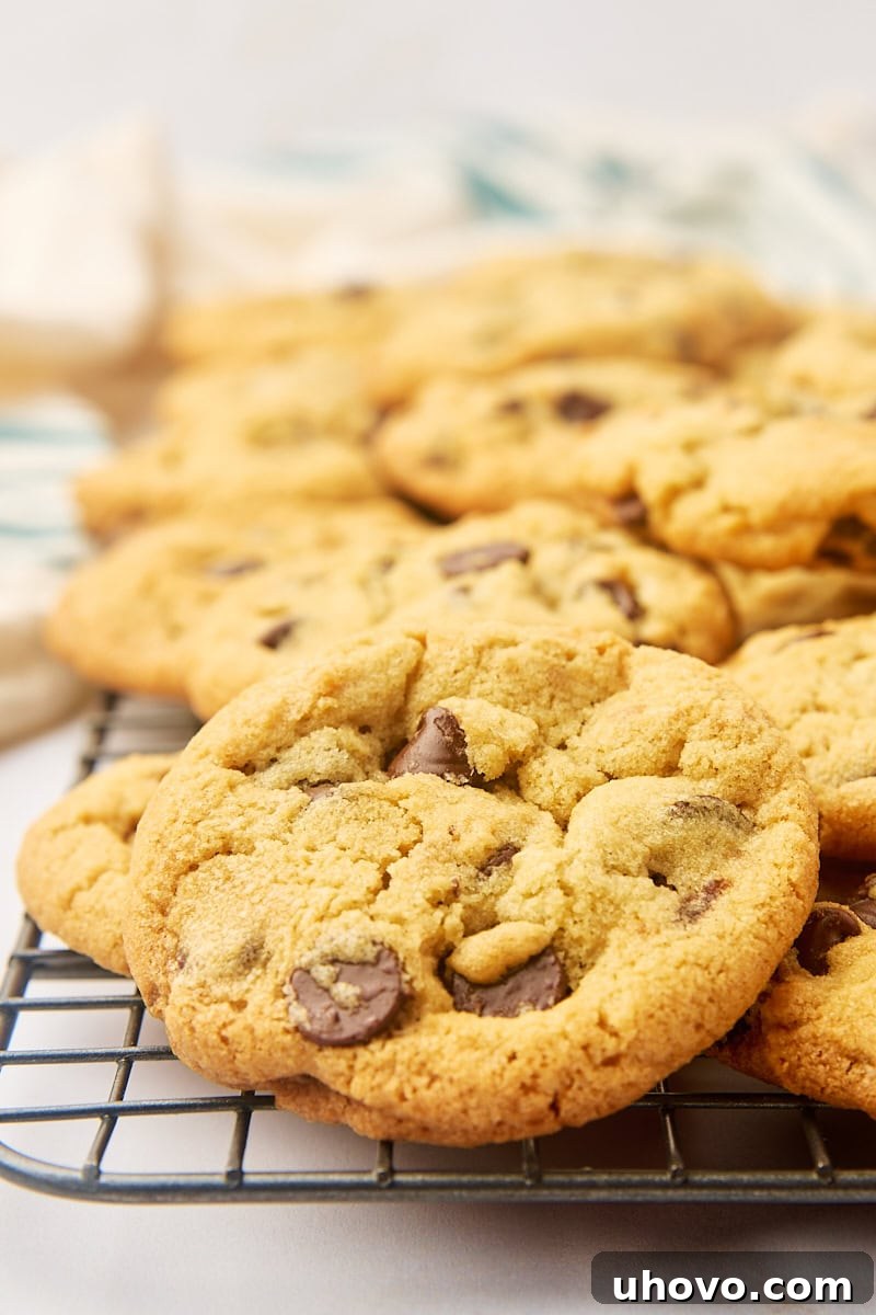 tahini chocolate chip cookies on a wire rack