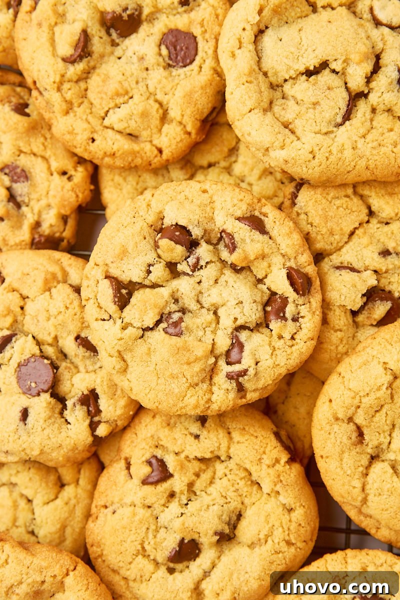 close-up overhead view of several tahini chocolate chip cookies