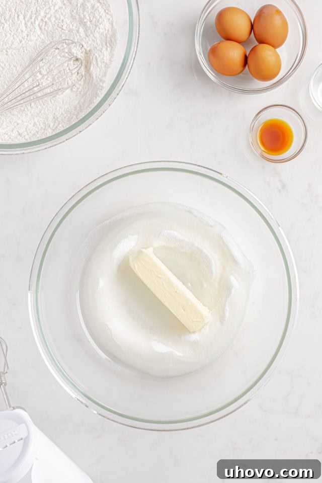 Overhead view of softened butter, vegetable oil, and granulated sugar in a glass mixing bowl, about to be creamed.