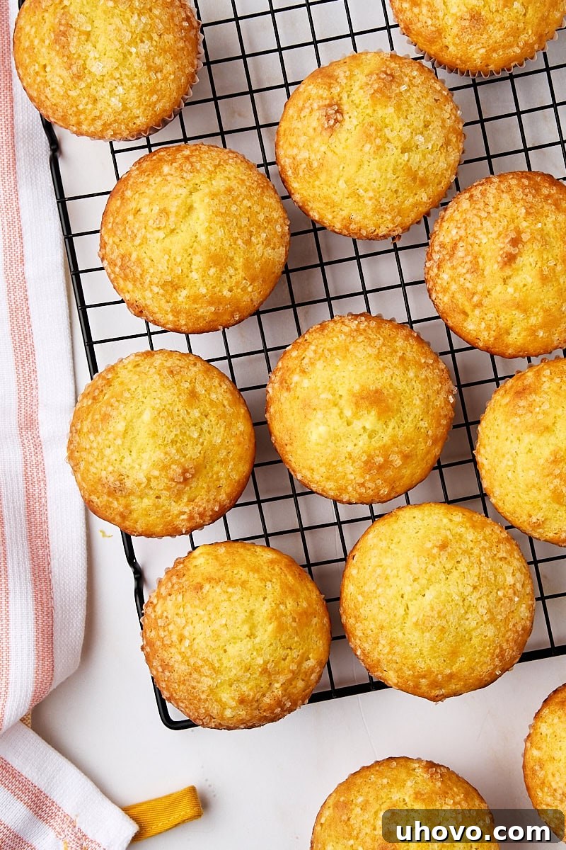 Orange ricotta muffins cooling on a wire rack, with some still in the muffin pan and others neatly arranged