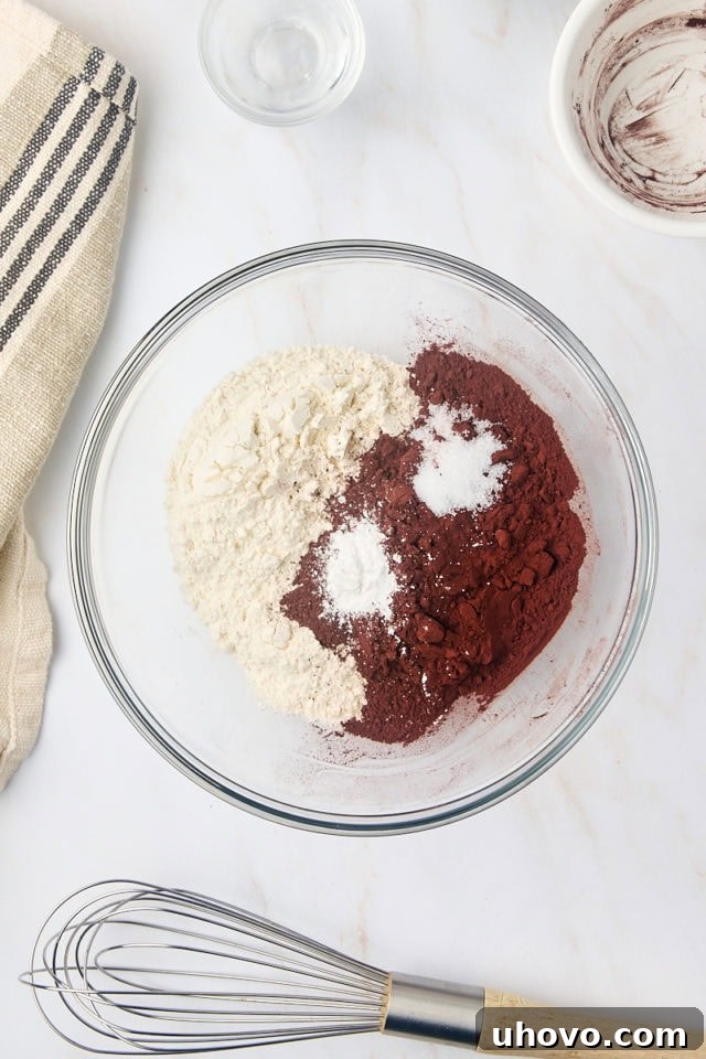 overhead view of cocoa powder, flour, baking powder, and salt in a glass mixing bowl