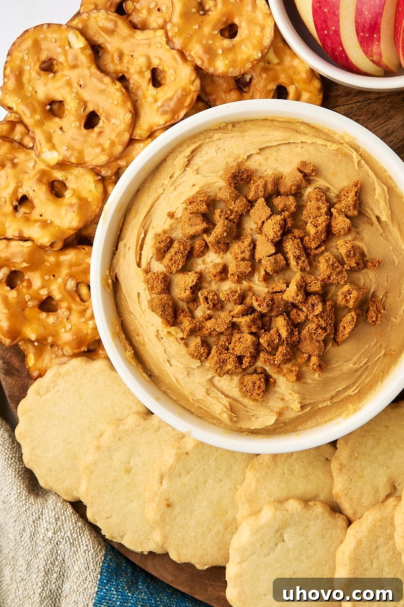 overhead view of cookie butter dip in a bowl surrounded by pretzels, shortbread, and apple slices