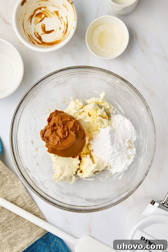 overhead view of cookie butter, confectioners' sugar, and vanilla added to beaten cream cheese in a glass mixing bowl
