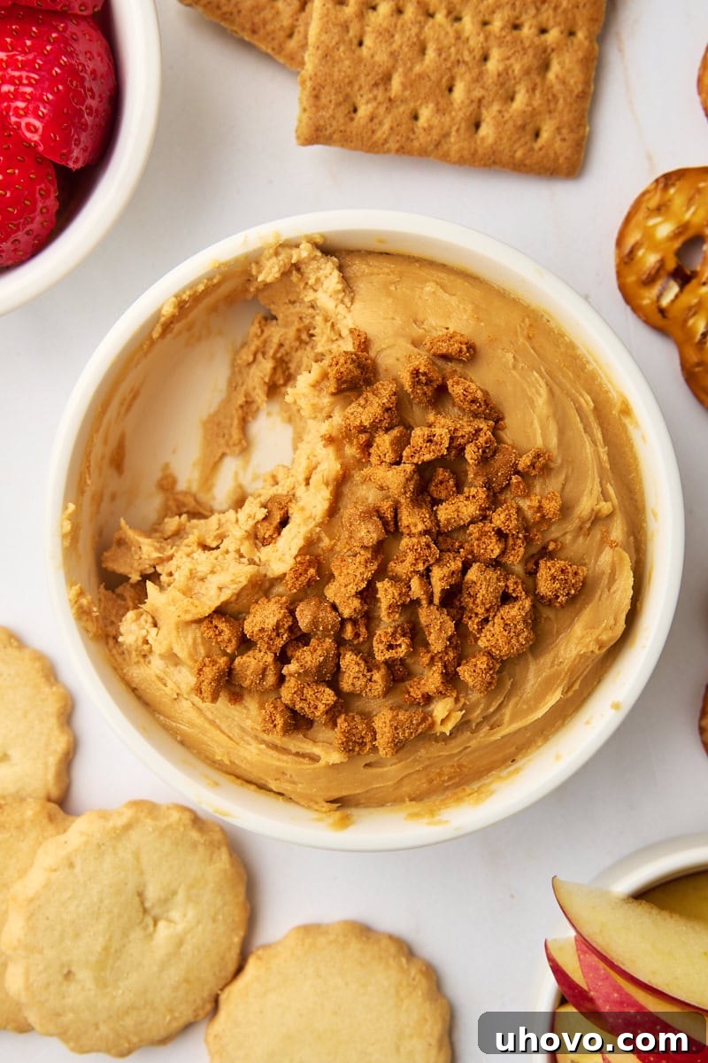 a bowl of cookie butter dip with a few servings missing, surrounded by various dippers