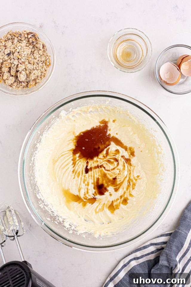 overhead view of vanilla and lemon juice added to cheesecake mixture
