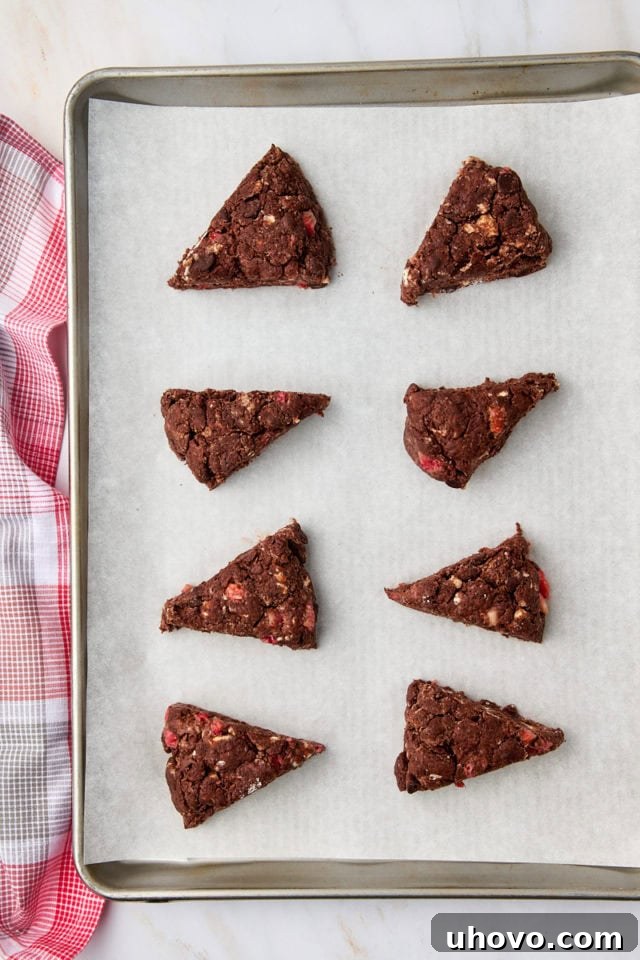 Overhead view of eight chocolate strawberry scone wedges neatly arranged on a baking sheet lined with parchment paper, ready for the oven.