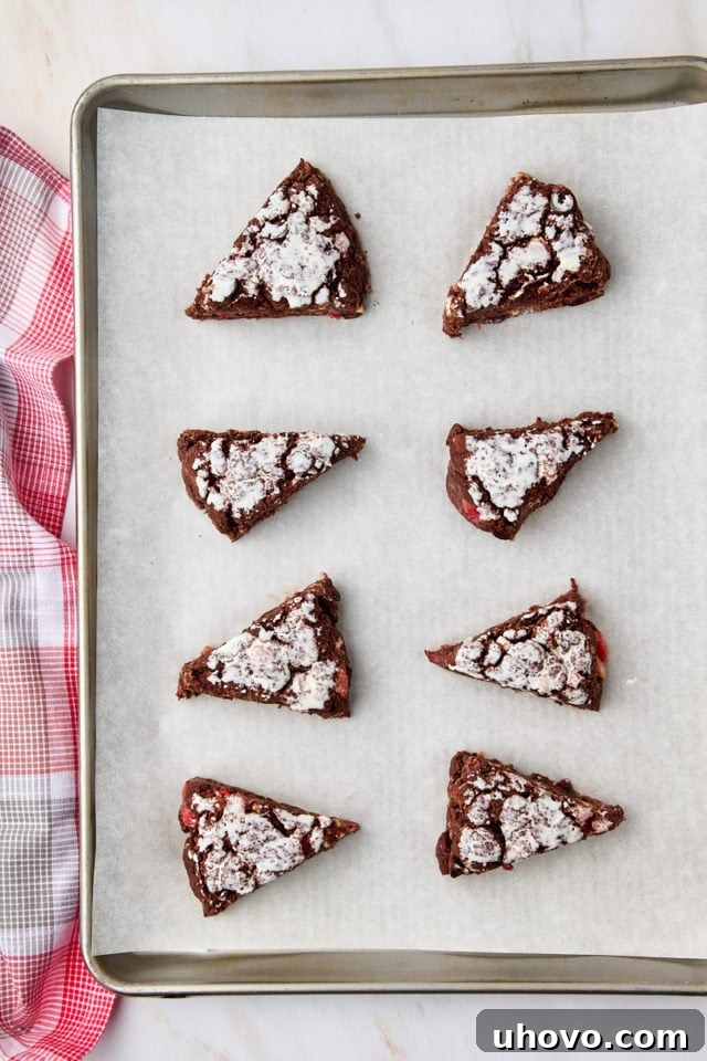 Overhead view of chocolate strawberry scone wedges on a baking sheet being brushed with heavy cream before baking.