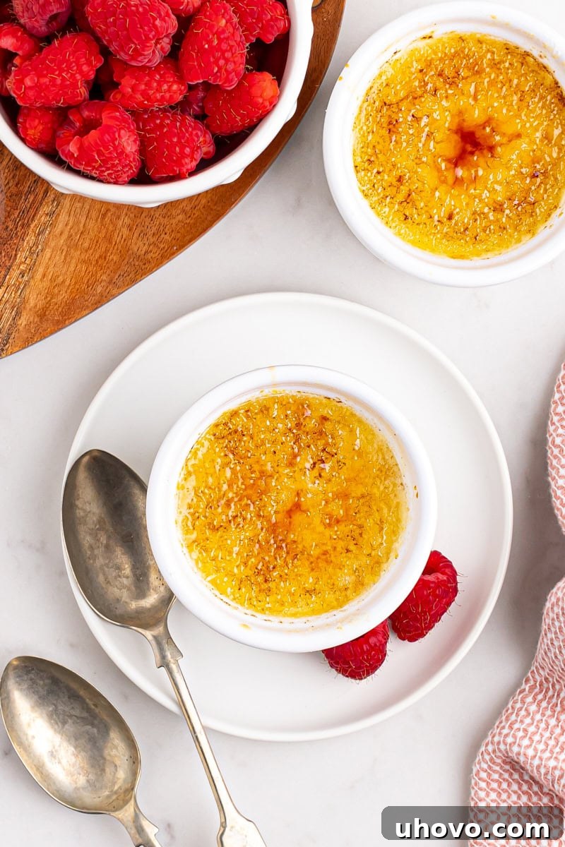 A single ramekin of classic crème brûlée, perfectly caramelized and ready to be enjoyed, artfully placed on a clean white plate.