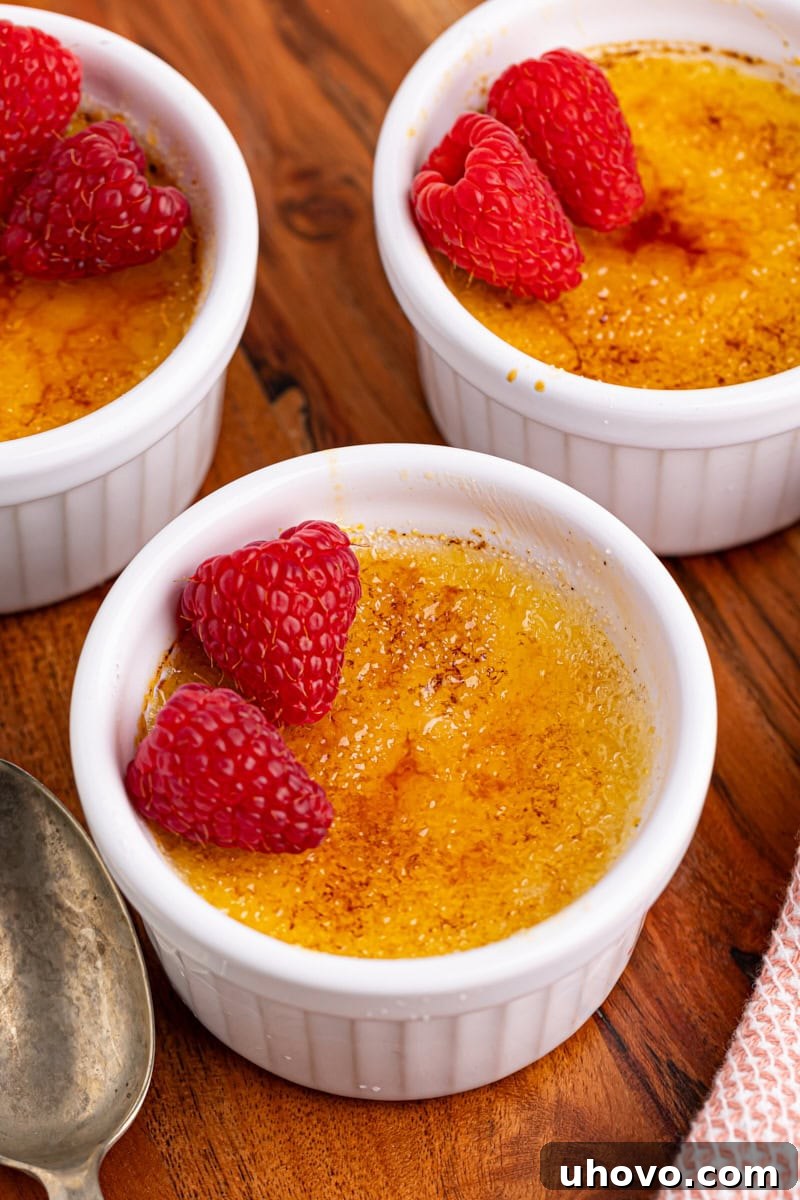 Three ramekins of luscious crème brûlée, each adorned with a fresh sprinkle of bright red raspberries, creating a vibrant and appealing garnish.