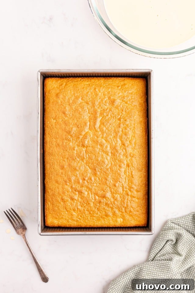 Overhead shot of a golden-brown, freshly baked sponge cake for tres leches cake, still in its baking pan, showing a light and airy surface.