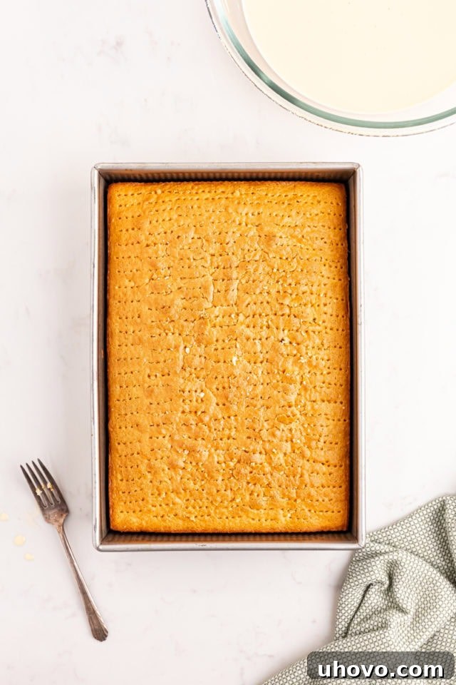 Overhead view of a cooled tres leches cake with numerous holes poked across its surface, preparing it for the milk soak.