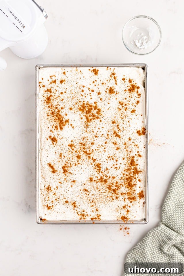 Overhead view of a finished tres leches cake, beautifully topped with whipped cream and lightly dusted with ground cinnamon.