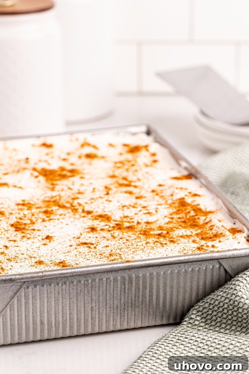A beautiful tres leches cake in a baking pan, generously topped with whipped cream and ready to be served.
