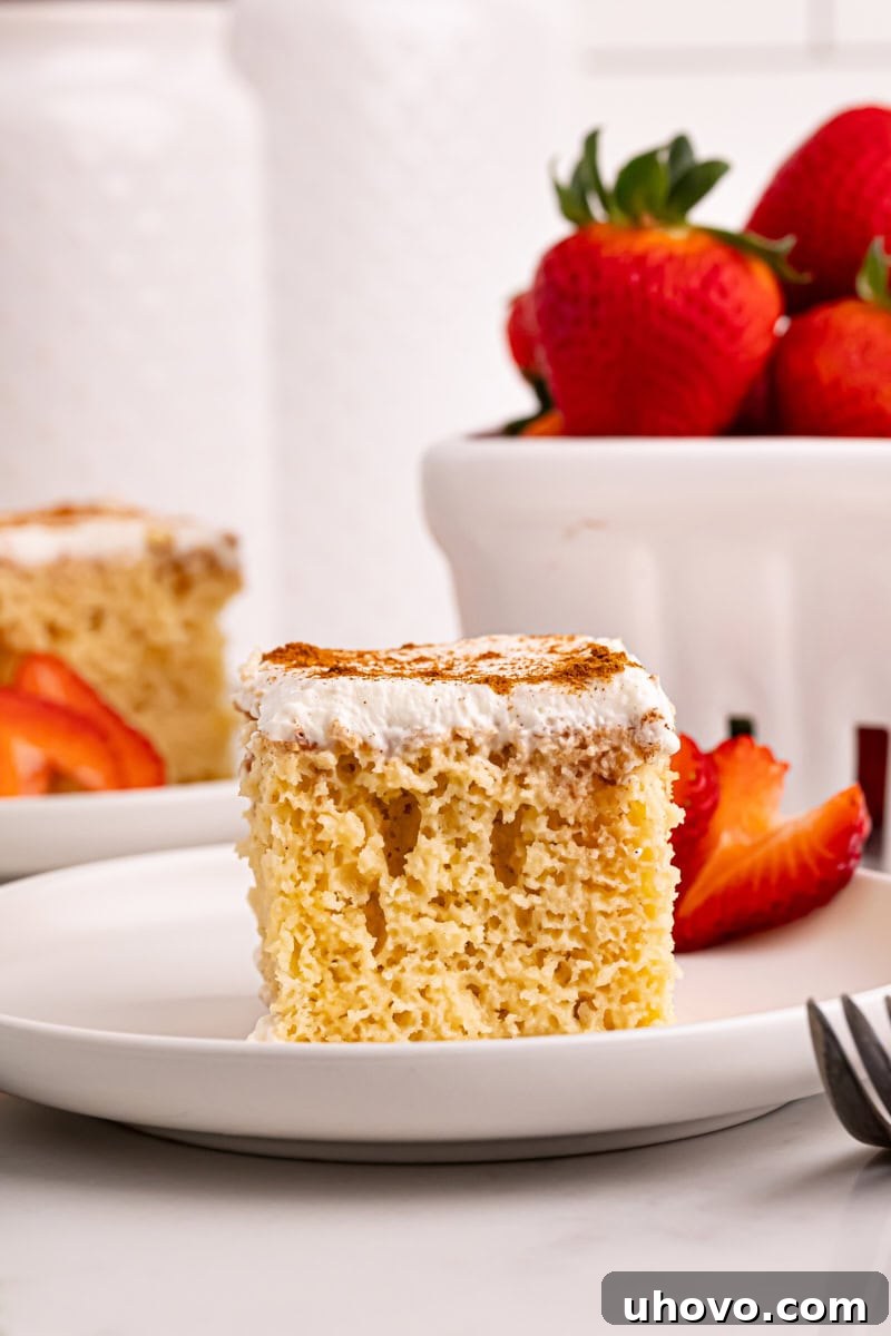 A slice of tres leches cake on a white plate, with fresh strawberries artfully arranged in the background, adding a touch of natural beauty.