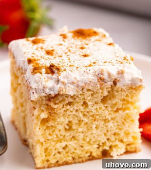 A slice of tres leches cake on a white plate, showcasing its luscious layers and whipped cream.