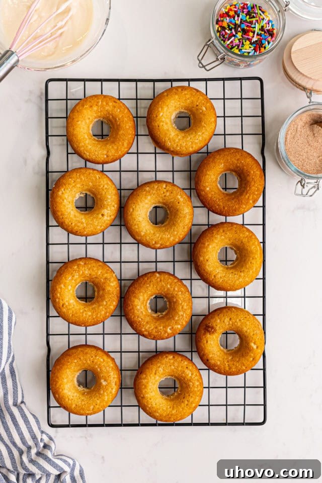 Overhead view of freshly baked doughnuts cooling on a wire rack, exhibiting a golden-brown exterior.