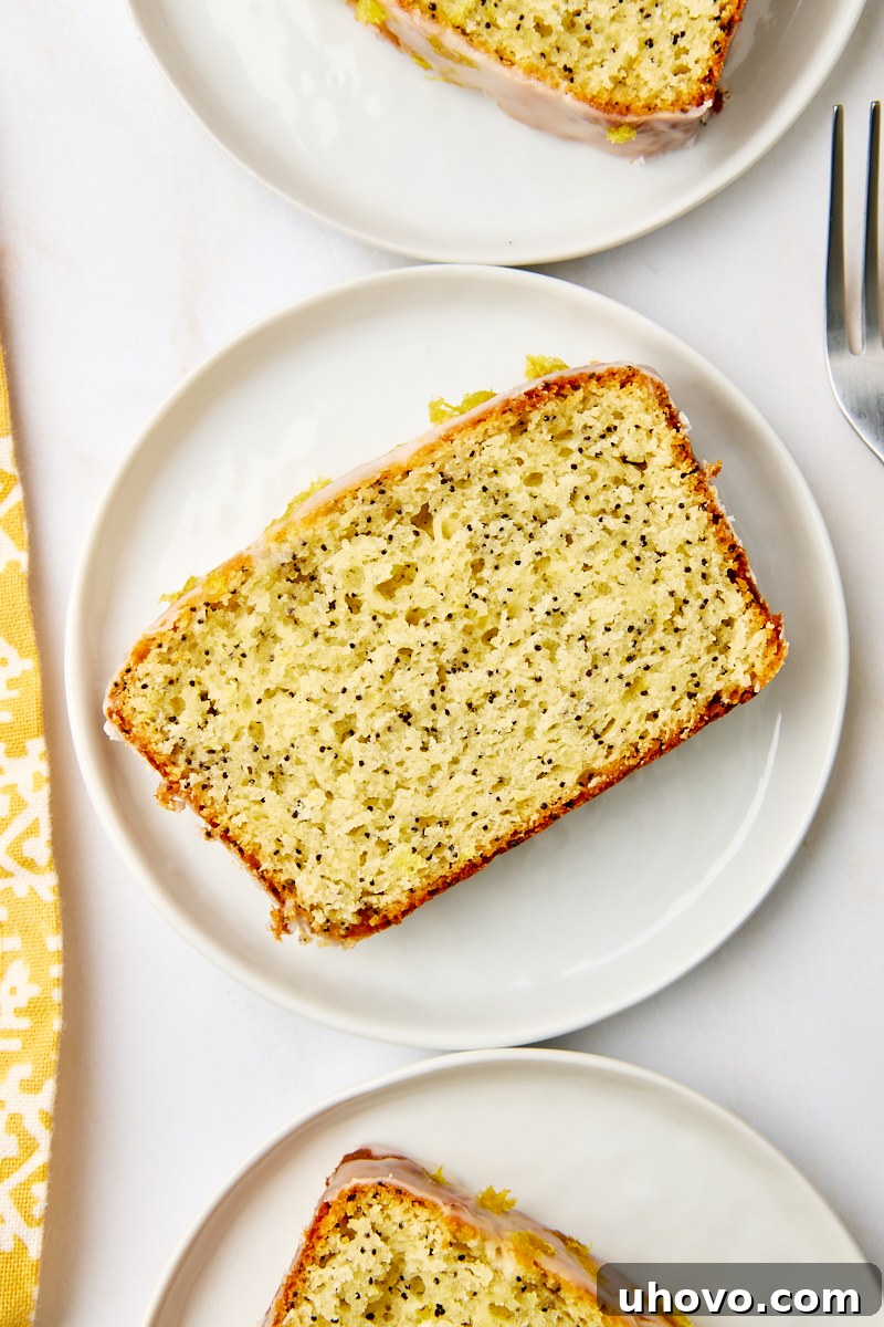 An overhead view of a single, perfectly glazed slice of lemon poppy seed loaf on a white plate, ready to be enjoyed.