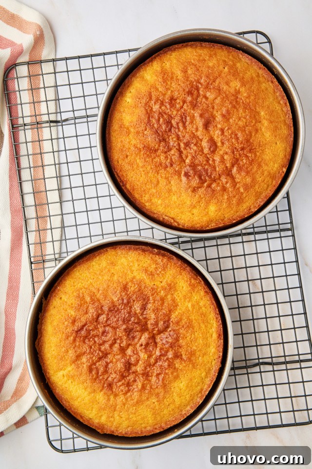 Two freshly baked golden-yellow cake layers cooling in their pans on a wire rack.